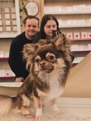 Tenhle rok nebyl lehký. Byl zlomový. Tichý i hlučný zároveň. Ukázal mi, jak křehké je zdraví. Jak snadno se může...